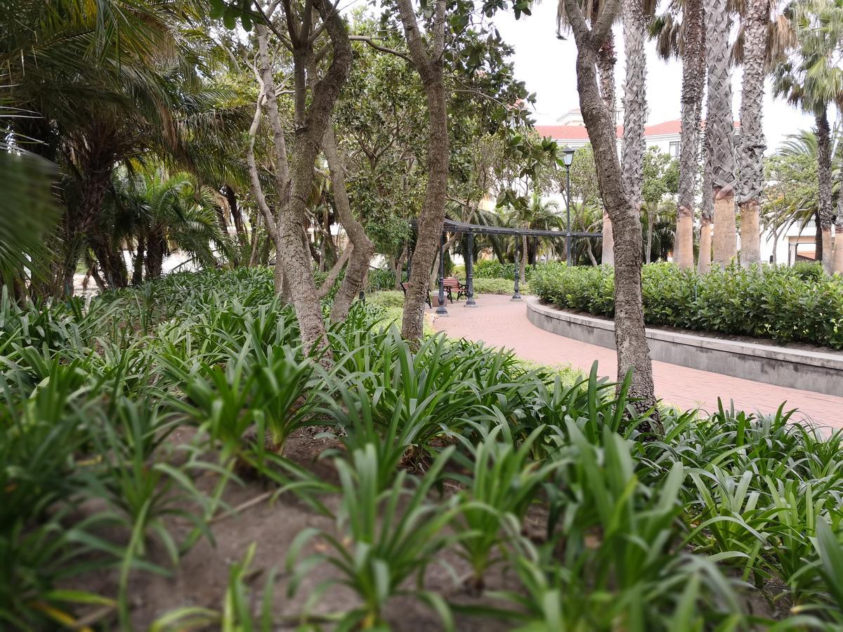Majorca Apartments By Bon Hotels ケープタウン エクステリア 写真